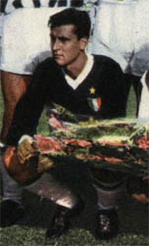 Roberto Anzolin