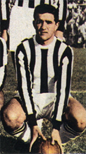 Flavio Emoli