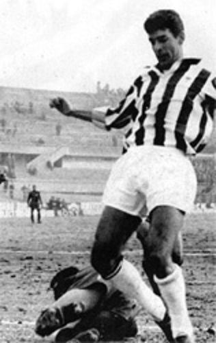 Bruno Siciliano