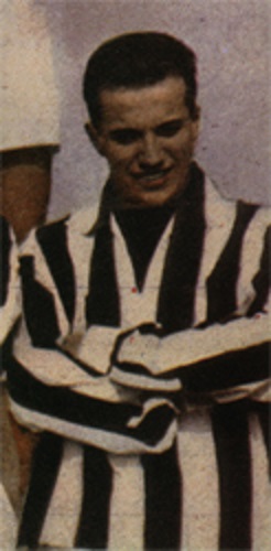 Gino Stacchini