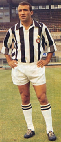 Luis Del Sol