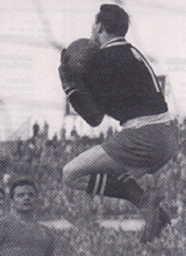 Giovanni Viola